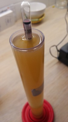 Pinchart-NEIPA.jpg