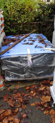 IMG_20201204_130529.jpg